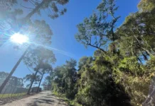 Sol predomina no fim de semana com chuva isolada em SC Sol predomina no fim de semana com chuva isolada em SC