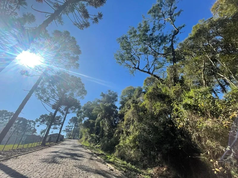 Sol predomina no fim de semana com chuva isolada em SC