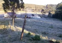 Passagem de ciclone pode derrubar as temperaturas em SC Passagem de ciclone pode derrubar as temperaturas em SC