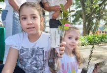 RBVerde engaja comunidade em prol do meio ambiente