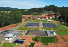 Master estará presente na 3ª edição da ação RBVerde