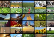 13ª SEAG será realizada de 12 a 14 de junho