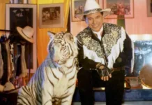 Beto Carrero World fecha zoológico após 30 anos