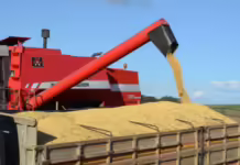 China suspende compra de soja de 5 exportadoras brasileiras