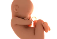 Feto é encontrado em banheiro em Caçador