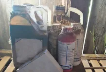 Campanha coleta agrotóxicos impróprios para uso