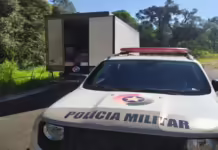 Mais de cinco toneladas de camarão são apreendidas em Porto União