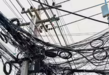 “Gatos” elevam conta de luz dos catarinenses em 1,5%