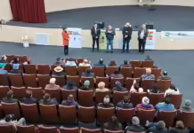 Cigarrinha do milho é tema de evento da Comissão de Agricultura