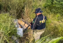 PRF localiza quase meia tonelada de maconha às margens da BR-282