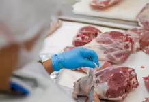20,4% das carnes brasileiras exportadas saem de SC