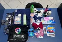 Jovem e idosa são presas por furtos no comércio local