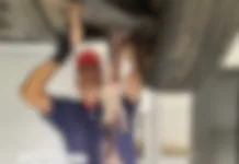 Revelado o mistério do caso do gato morto em Curitibanos