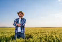 Declaração do ITR 2024 inicia em 12 de agosto