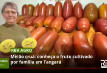 RBV Agro 211 – Melão cruá