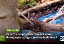 RBV Agro 212 – Cancro europeu