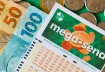 Apostas de SC ganham mais de R$ 90 mil na quina da Mega-Sena