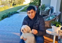 Oncologia pet: Como tratar animais com câncer