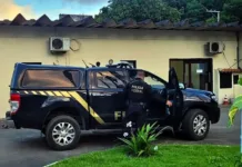 PF faz operação contra tráfico internacional de animais silvestres em SC