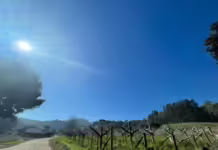 Terça-feira terá sol e temperaturas amenas em Santa Catarina