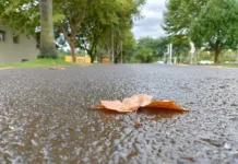 Previsão do tempo: quarta-feira com temperaturas amenas em SC
