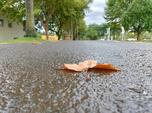 previsão do tempo (70) Previsão do tempo: quarta-feira com temperaturas amenas em SC