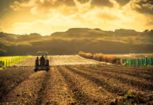 Falta de chuva preocupa produtores catarinenses