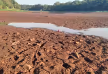 SC registra 10 cidades vivendo em situação de seca fraca