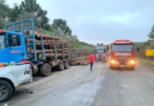 Carreta com toras tomba e deixa cinco feridos na SC-350