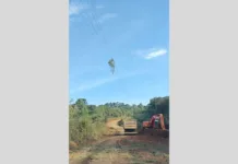 Queda de vegetação em rede causa falta de energia em Caçador