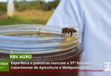 RBV Agro 217 – Palestras marcam o 37º Encontro Catarinense de Apicultura e Meliponicultura