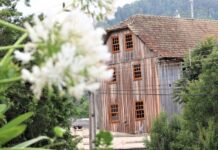 Conheça os candidatos nas eleições 2024 em Salto Veloso