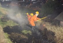 Bombeiros registram aumento de queimadas nesta época do ano