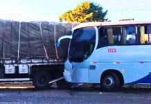 Ônibus colide com caminhão entre Lebon Régis e Fraiburgo