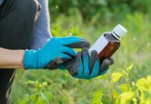 Aluno leva veneno para escola e intoxica colegas e professores