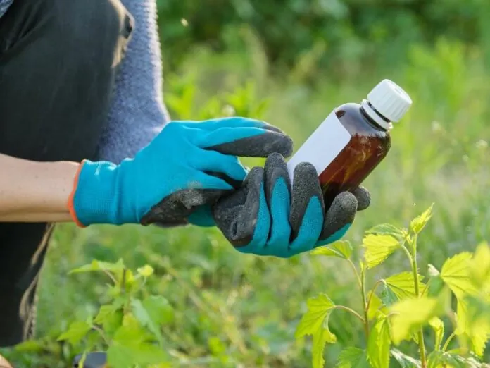 Número de agrotóxicos com registro cancelado aumenta 37%