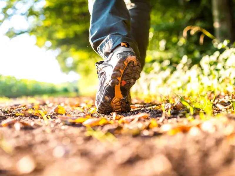 4ª Caminhada Saúde e Bem-Estar acontece neste domingo em Iomerê