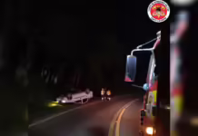 Motorista capota o veículo e foge