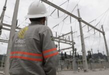 Celesc amplia redes trifásicas e garante mais qualidade de energia no campo