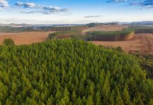 FIESC defende a valorização do Código Florestal