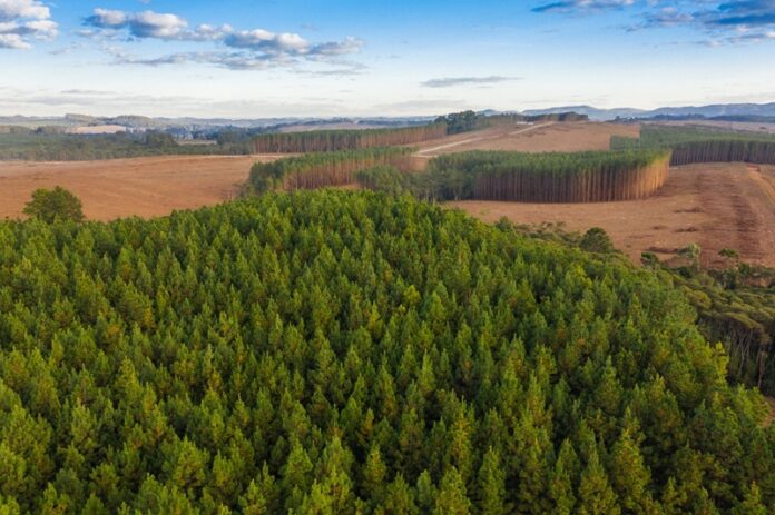 FIESC defende a valorização do Código Florestal