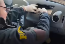 PRF flagra automóvel recheado de maconha na BR-282 em Joaçaba