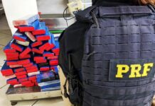 Homem procurado pela Justiça é preso com quase 60 kg de maconha na BR-282