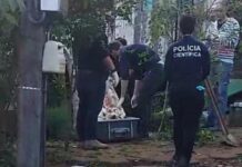 Polícia Civil encontra corpo enterrado embaixo de uma casa