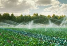 Câmara aprova projeto que permite obras hídricas em áreas de proteção