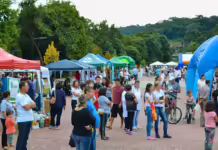 Hiperdia Solidário acontece neste sábado em Videira