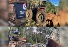 PM localiza madeira cortada ilegalmente e identifica os responsáveis