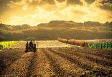 Veja como declarar ITR 2024 e evitar multas