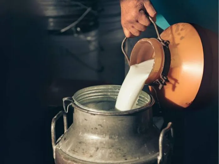 Santa Catarina aumenta produção de leite e ovos