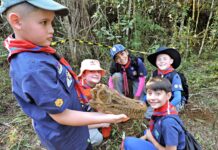 Lobinhos de Caçador têm aula prática de paleontologia